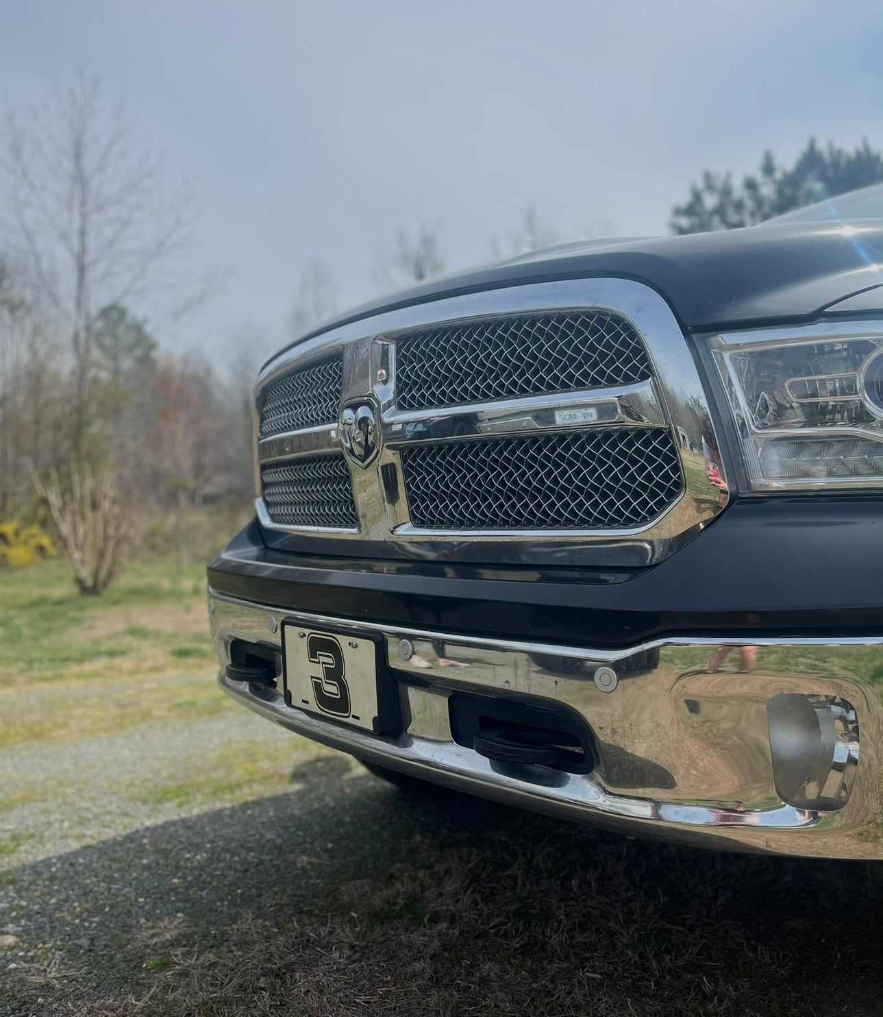 Dale #3 License plate