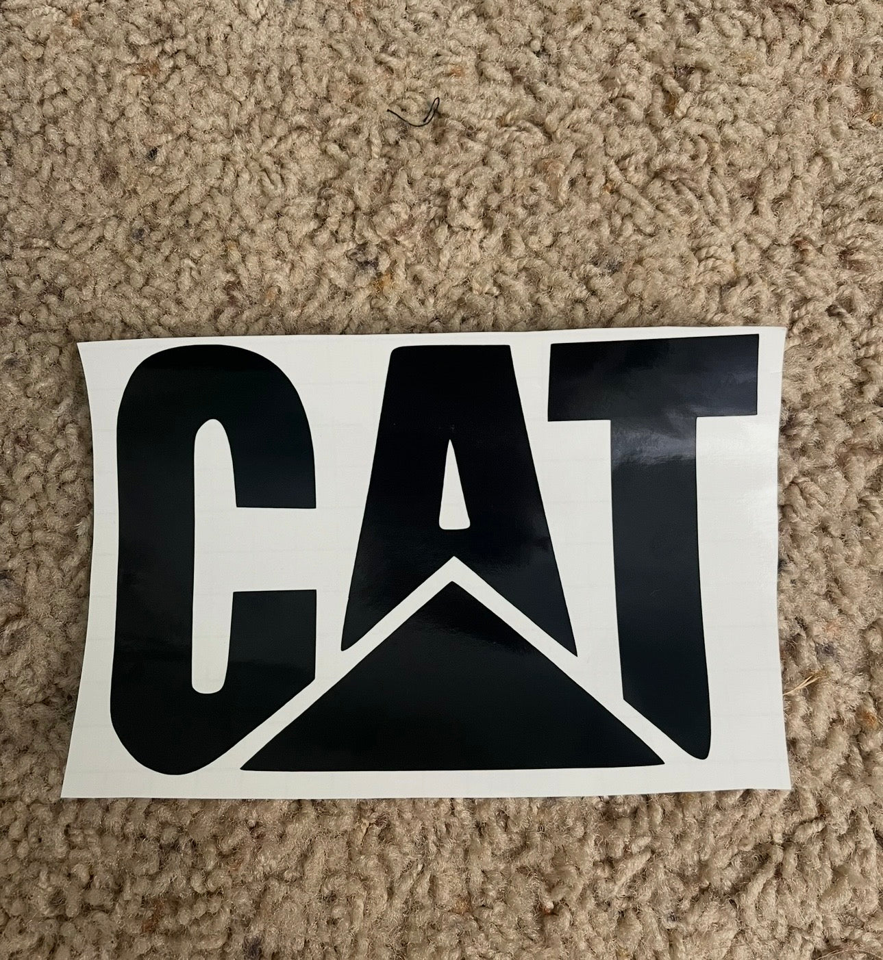 Cat sticker